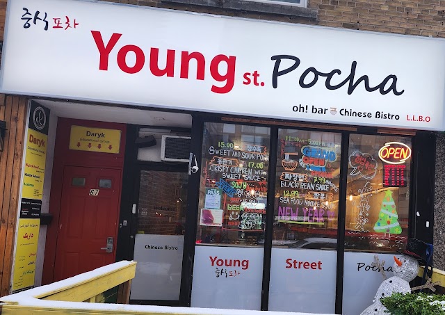 Young St. Pocha on BTS Boulevard, Yonge St, North York